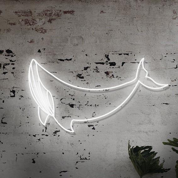 Balina Neon Led