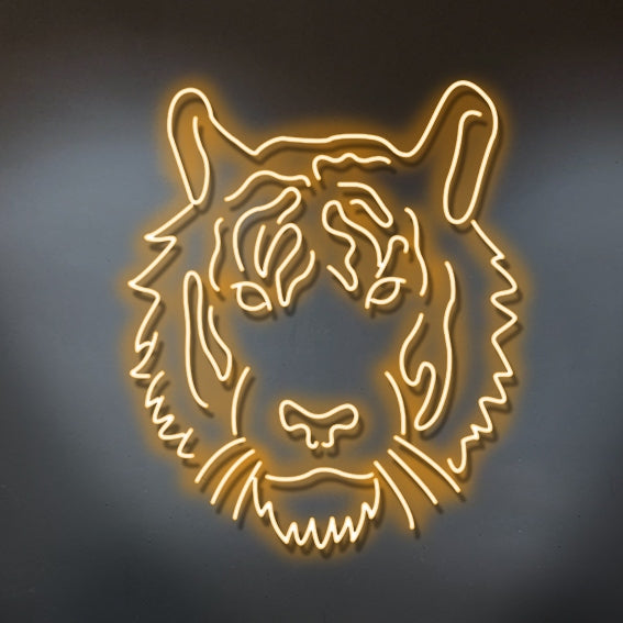 Kaplan Neon Led