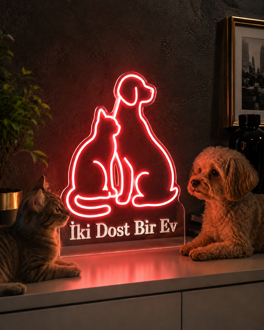İki Dost Bir Ev yazılı kırmızı kedi ve köpek figürlü neon tabela